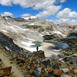 Meet your Posher, Tony